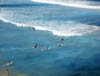 Surfers and swimming people in the see