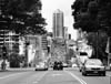 black and white of williams street sydney