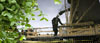 Man standing at a bridge, reflected in water